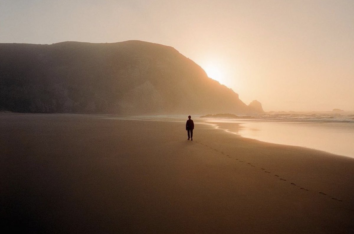 LEICA MAG tweet media