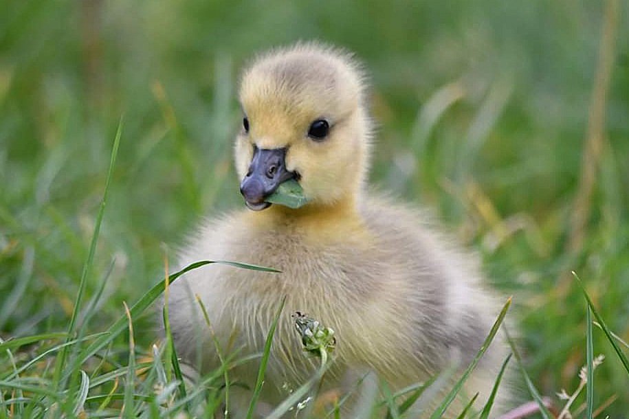 Neale Smith tweet media