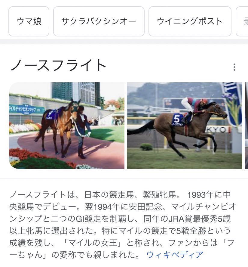 L ウマ娘 ルームウェア ノースフライト サクラバクシンオー、他M