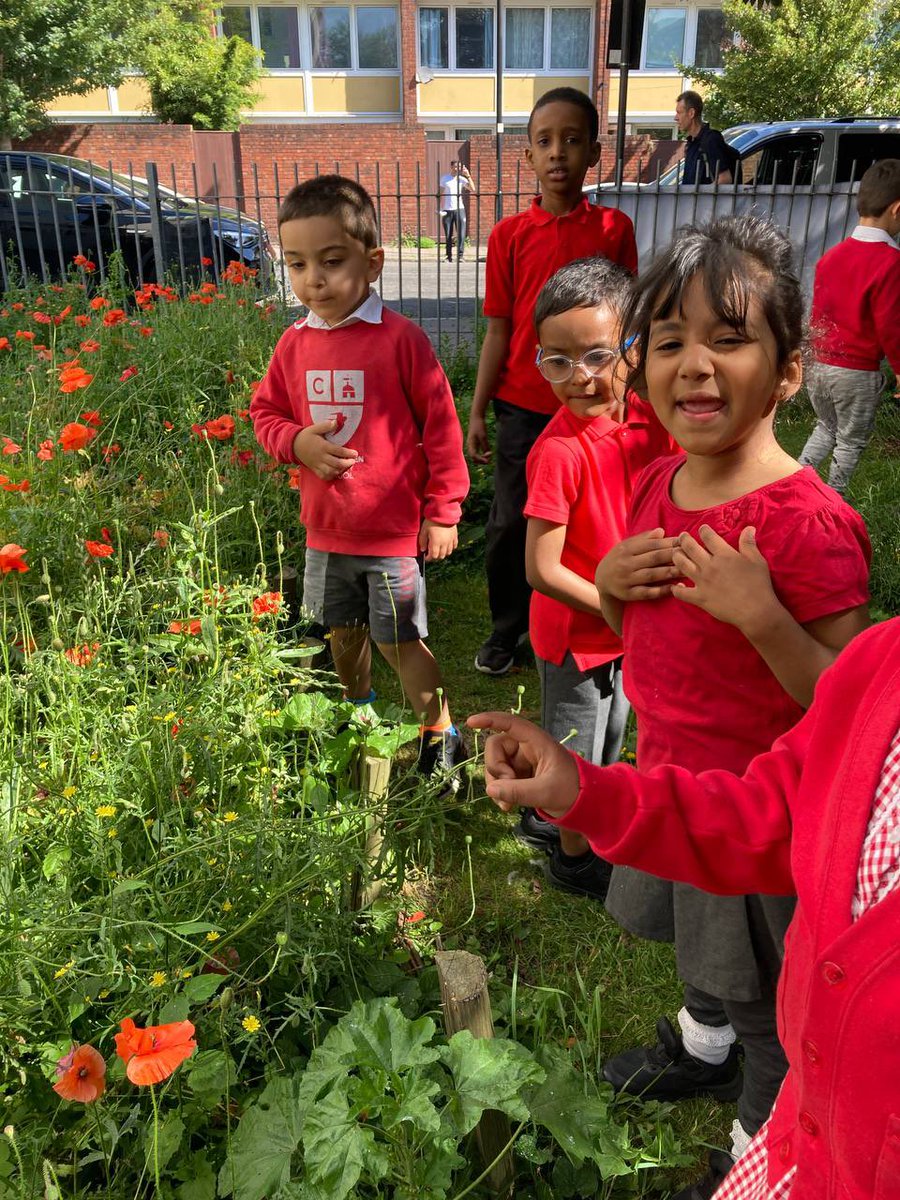 Today, on #OutdoorClassroomDay, we’re celebrating over 6,500 children from inner London who have joined us for sessions in their local park, the #outdoorclassroom for many urban schools. Everyone benefits from time in nature, no matter how small the green space is.