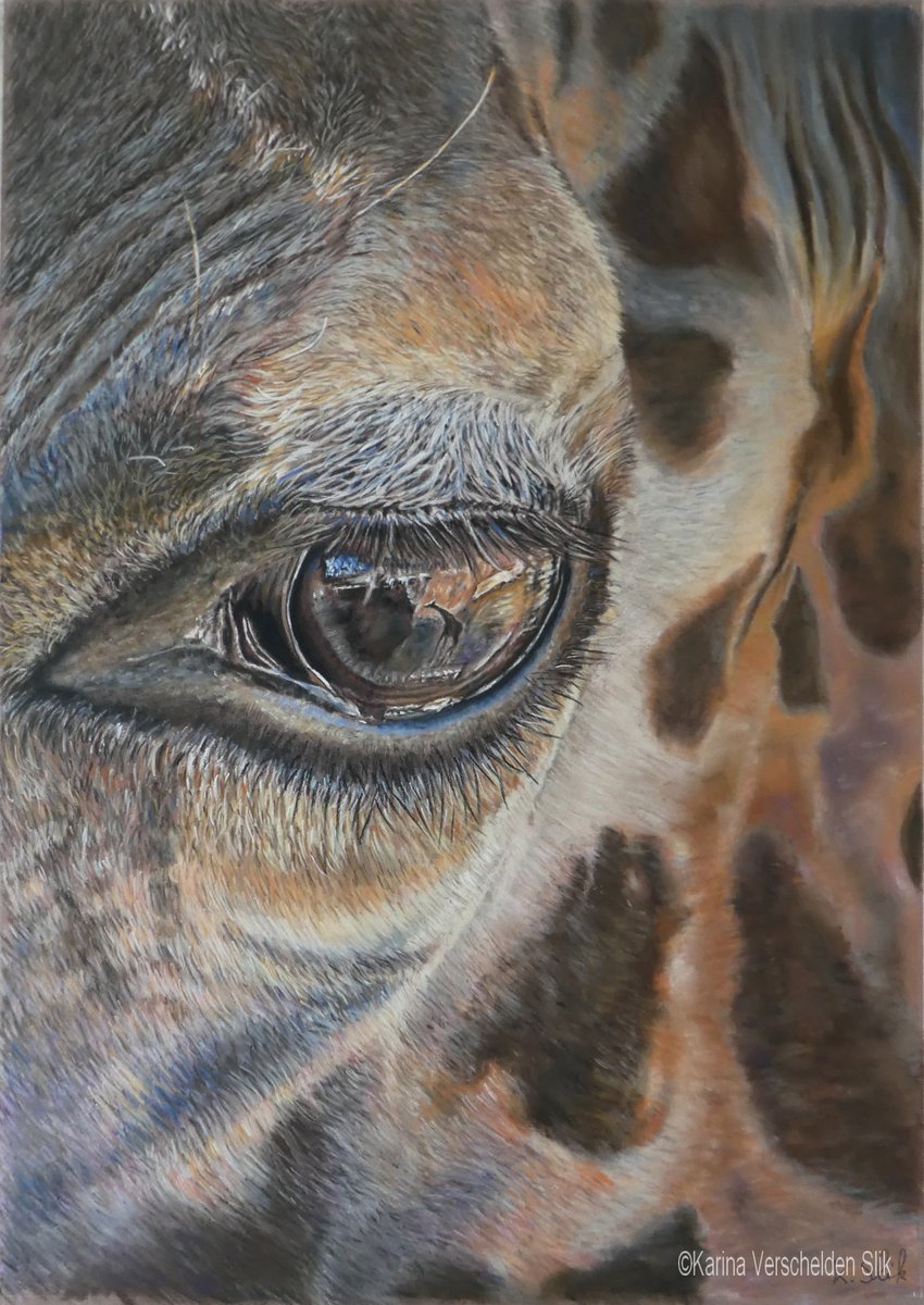 Eye of a giraffe. She is not alone 🙂 See the reflection in her eye. Pastelpencils and crayons. If I look at giraffes, they strike me as super friendly and chill. #giraffe #wildlife #wildlifedrawing #wildlifeart #artlover #pastelart #fineart #animalart #realisticart #reflection