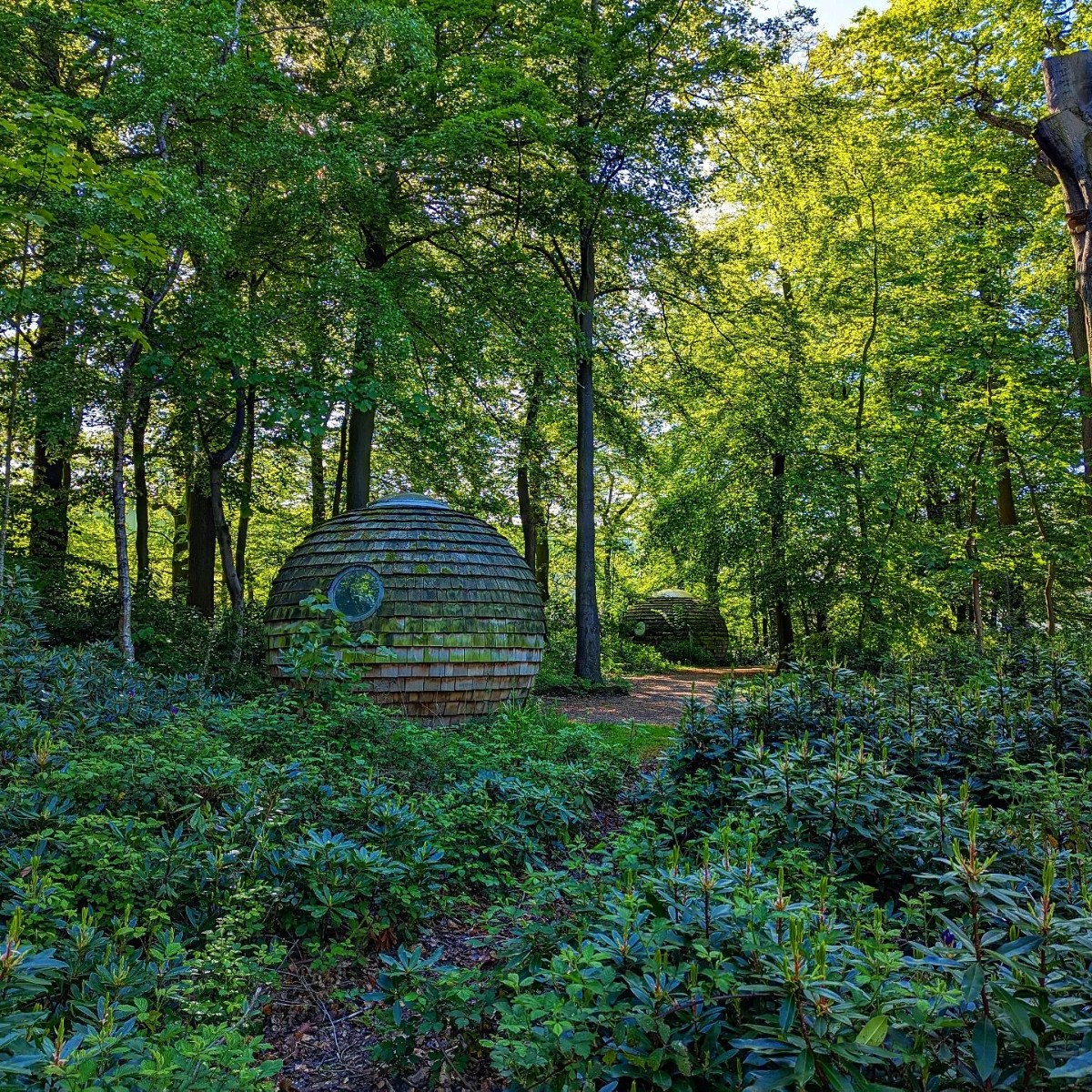 Lancaster University tweet media