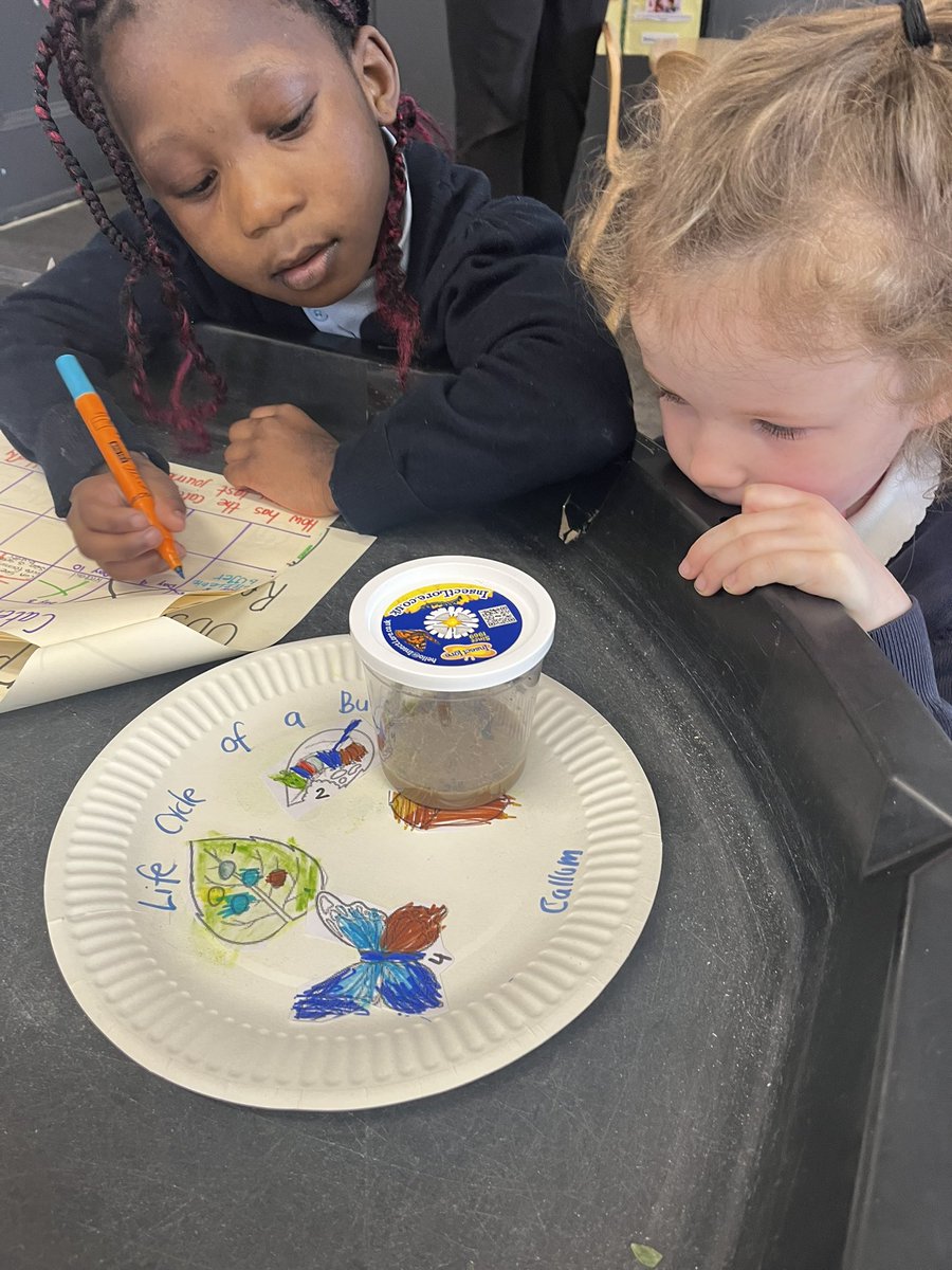 ibroxprimary's tweet photo. We love observing the caterpillars and taking notes. We also enjoyed reading the story to our baby and making the 4 stages of the butterfly cycles with play dough 🥚🐛🟤🦋#LearningthroughPlay #lifeCycleofaButterfly @GlasgowNurture @nurtureuktweets https://t.co/QVLcXhQais