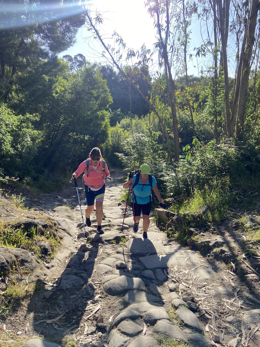 StephJJS's tweet image. Approaching halfway on our Camino challenge, with a brilliant group of @selfhelpafrica supporters from the UK &amp;amp; Ireland 

If you’d like to spur us on, to get to 100km: justgiving.com/fundraising/st…