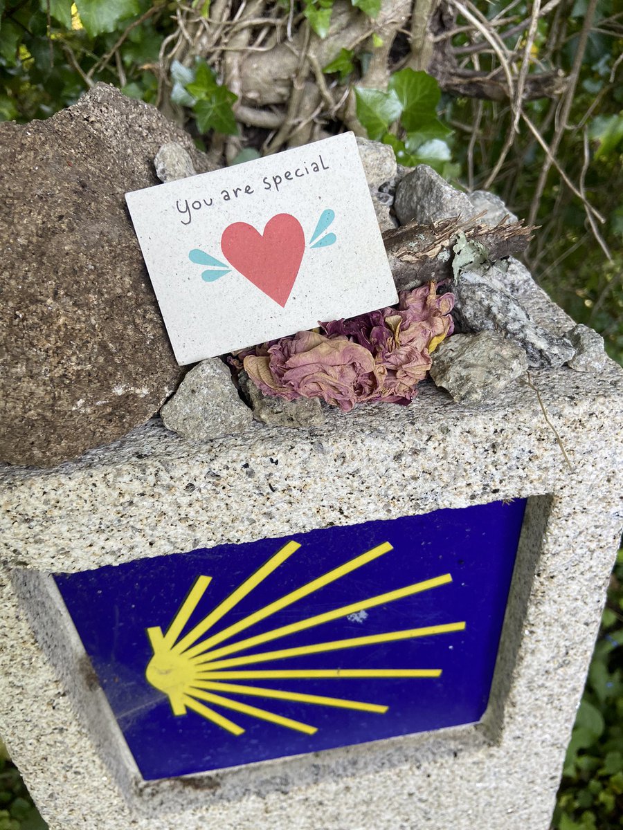 StephJJS's tweet image. Approaching halfway on our Camino challenge, with a brilliant group of @selfhelpafrica supporters from the UK &amp;amp; Ireland 

If you’d like to spur us on, to get to 100km: justgiving.com/fundraising/st…