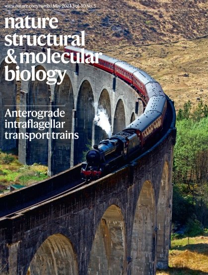 KatCiazynska's tweet photo. All aboard the IFT train! 

We featured the article from @samlacey745 and @_Helen_Foster_ in @GaiaPigino lab in the May issue of NSMB https://t.co/FKNs5c8xEs