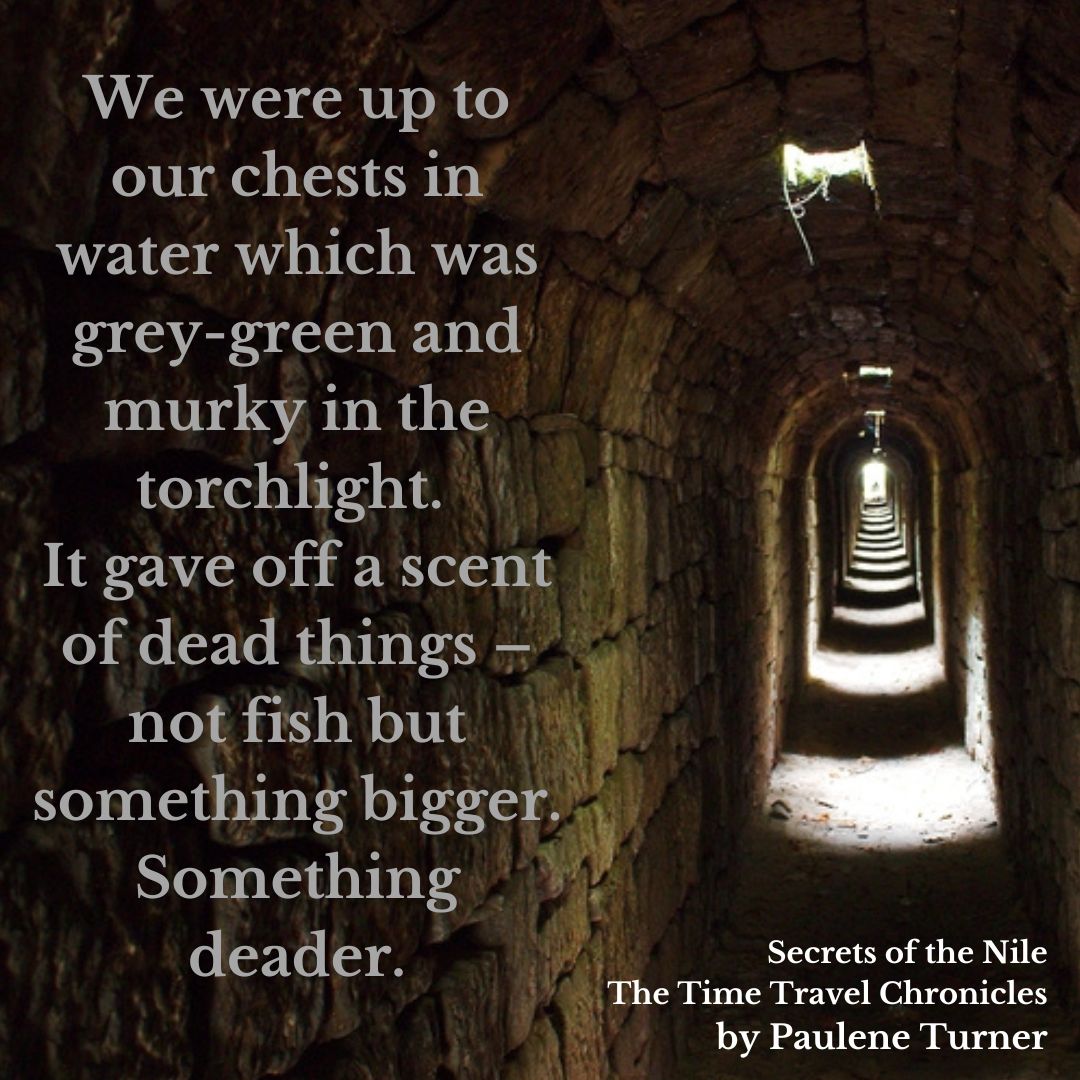 Cover reveal next week for Secrets of the Nile--bk 1 of The Time Travel Chronicles set in Ancient Egypt. If you like history, mystery with the twists and turns only time travel provides, you might like it. (Or you may not. It's possiblle) #writingcommunity #indiepublishing #scifi