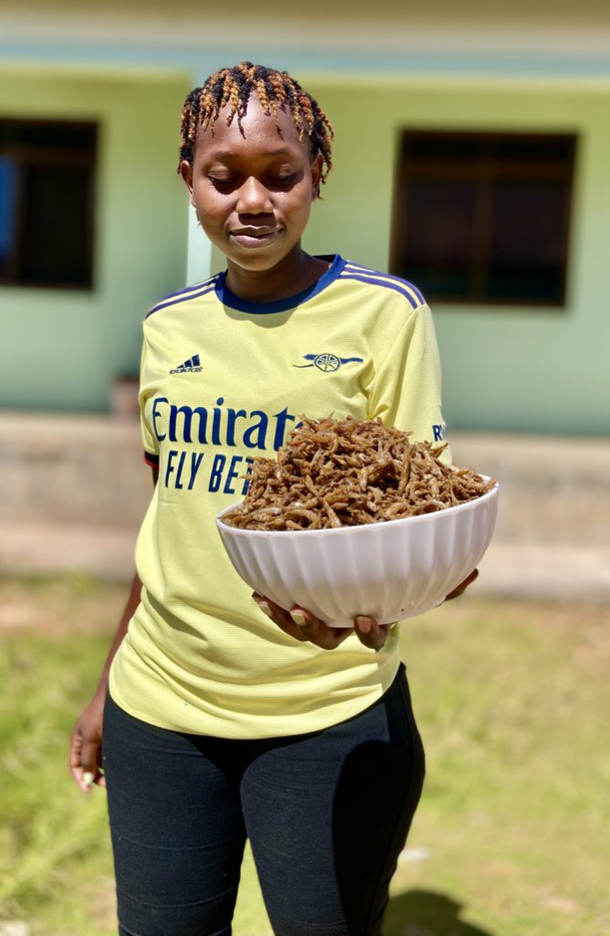 amprincess9's tweet image. Habari, nauza dagaa wa Mwanza
wa.me/message/S7GORF…
📞 0759855572

Debe 90,000
Nusu debe 45,000
Sado 25,000
Nusu sado 13,000

Fulu 25,000 kisado
Dagaa kavu 9,000 kisado
SAMAKI zipo kwanzia 4,500

Napatikana Mwanza na Kahama lakini pia natuma popote ulipo Tanzania.