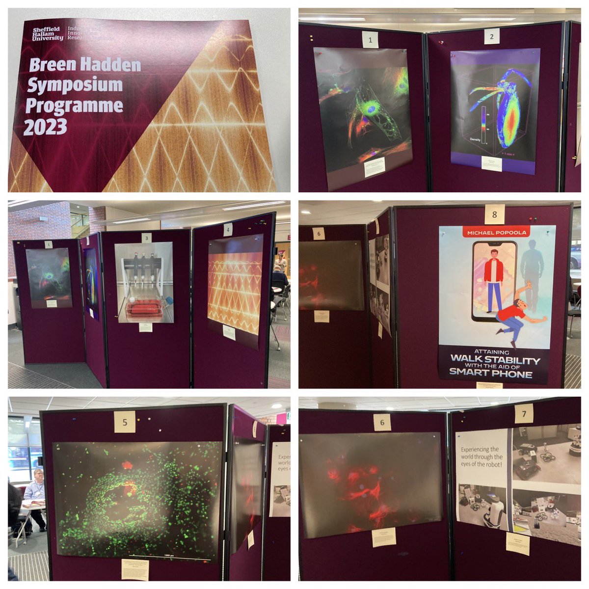 Some great images representing the breadth of research across <a href="/I2riShu/">I2Ri_shu</a> at todays inaugural Breen Hadden symposium.