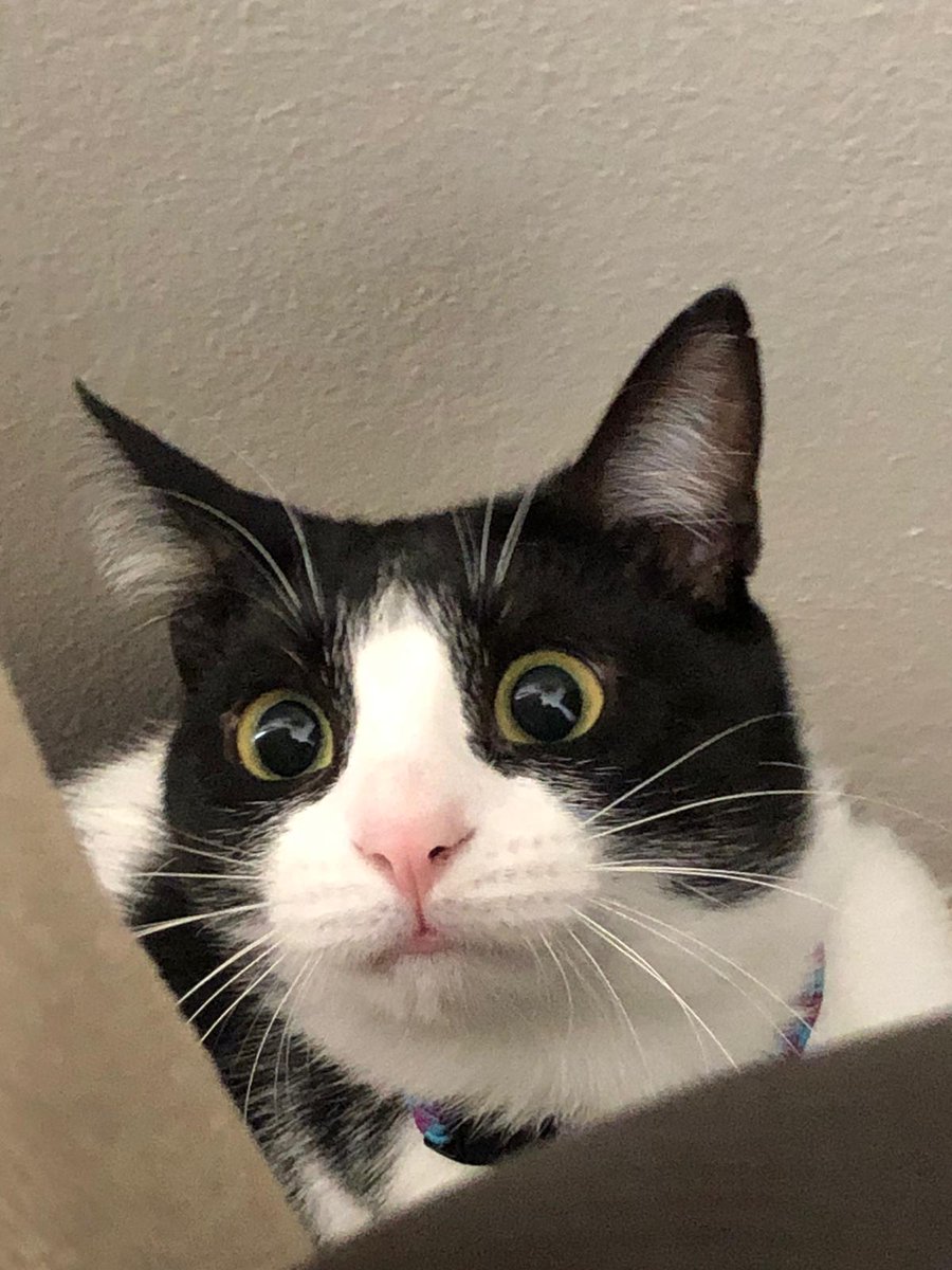 Ne demek oy kullanmayacağım 🤯🤯🤯#nedemekoykullanmayacağım