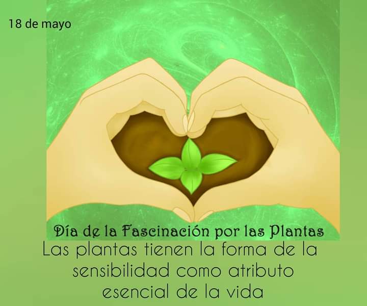 #AlguienDespierto #SaludoPlanetario @Edurodriguezg 

Hoy es el día en el cual todos los que amamos las Plantas 🌷☘️🌿🌺 festejamos su Creación...

Bendiciones Eduardo 🙏
