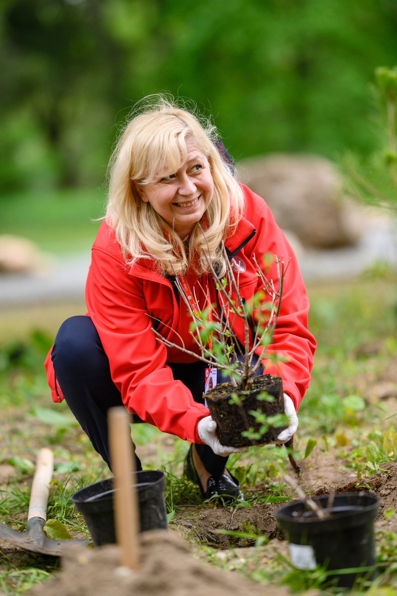 I have a plan for my next visit to Minsk, and it’s a walk in the Central Botanical Garden.

15 hydrangeas were planted here as per the number of Florence Nightingale Medal Laureates in Belarus, and the Laureates themselves, <a href="/Red_cross_BY/">Belarus Red Cross</a> nurses, took part. Why hydrangeas?