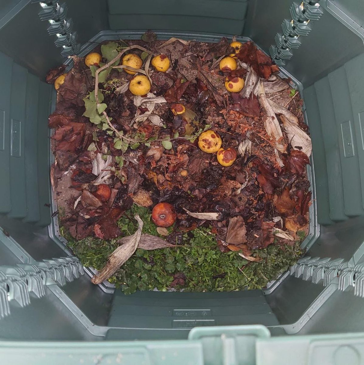 APobra's tweet image. 🌱♻️ 40 casas da Pobra do Brollón participan no programa de #compostaxe doméstica municipal, iniciado en 2022 en colaboración coa Consellería de Medio Ambiente da @Xunta con financiamento da Unión Europea-NextGenerationEU.
bit.ly/3Imsct8