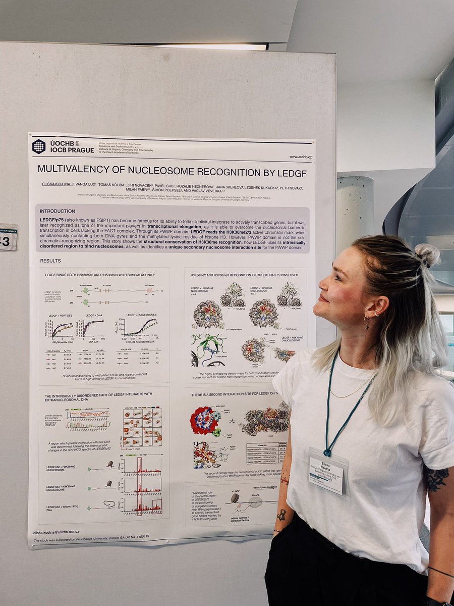 Eliš Ká tweet media