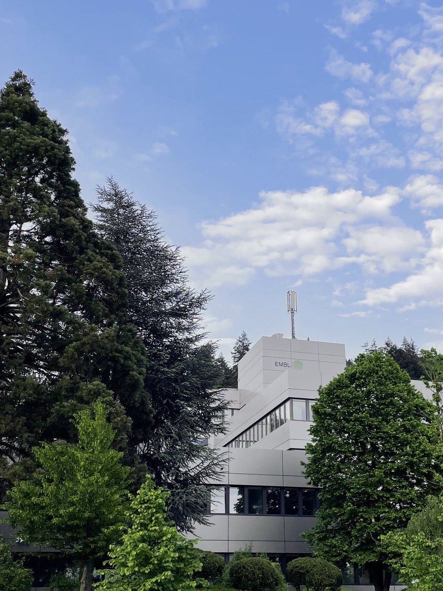 nice to be back in the woods 🦌 #EMBLChromatin #poster143