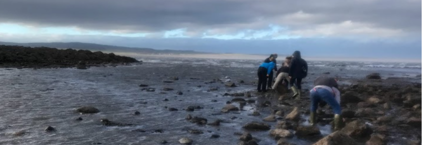 Students from Newcastle University @SciencesNCL   @newcastlemarine and @ecology_ncl took part in monitoring to detect marine non-natives across @lindisfarne_nnr as part of the LIFE WADER project @LIFEprogramme #INNSweek @NE_Northumbria