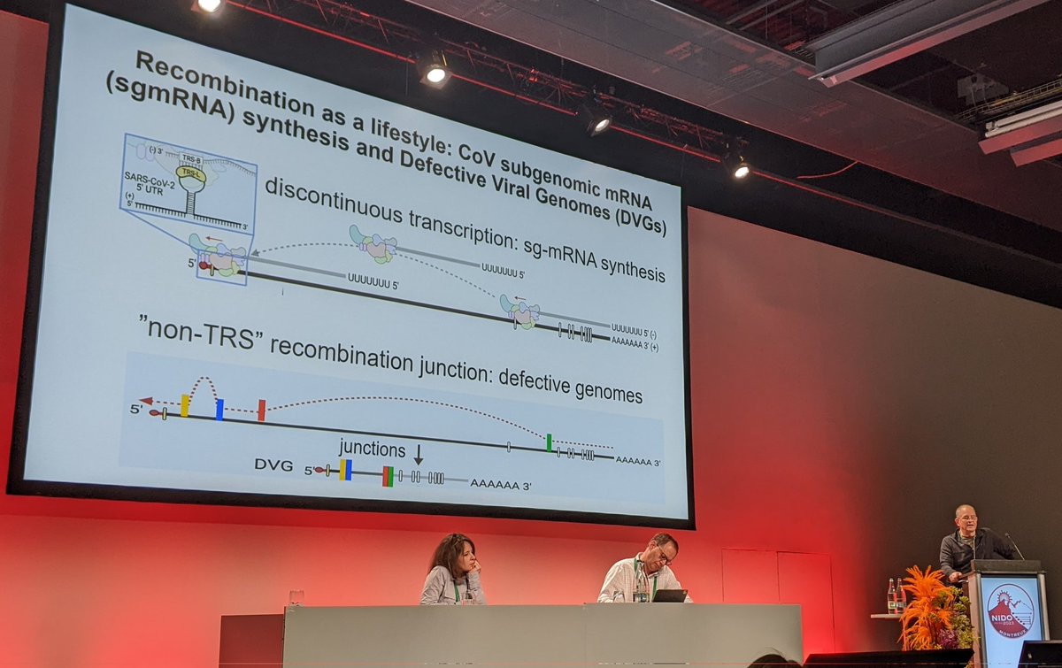Shoutout to Mark Denison @DenisonLab for the outstanding overview on targeting the #coronavirus replicase for #antivirals 👏👏👏
#Nido2023