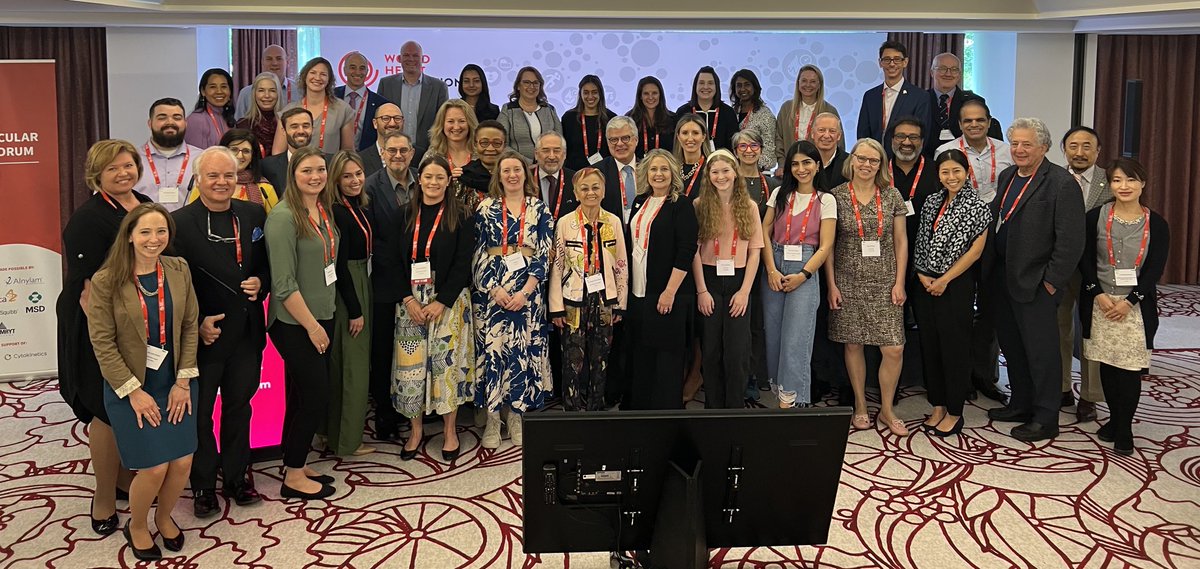 fjpinto1960's tweet photo. Fantastic meeting on Rare cardiovascular diseases involving several patient organizations and testimonies ⁦@worldheartfed⁩ forum in Geneva. Several great ideas have been exchanged that will help to shape future policies on CVD ⁦@WHO⁩ ⁦@magdadaccord⁩ ⁦ https://t.co/qdpheRyryn