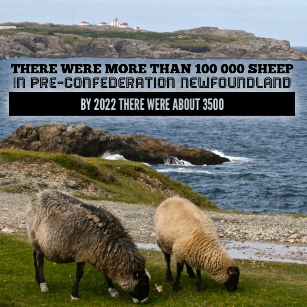 ๐๐๐ฐ๐๐จ๐ฎ๐ง๐๐ฅ๐๐ง๐ ๐
๐๐๐ญ๐จ๐ซ๐ฒ tweet media