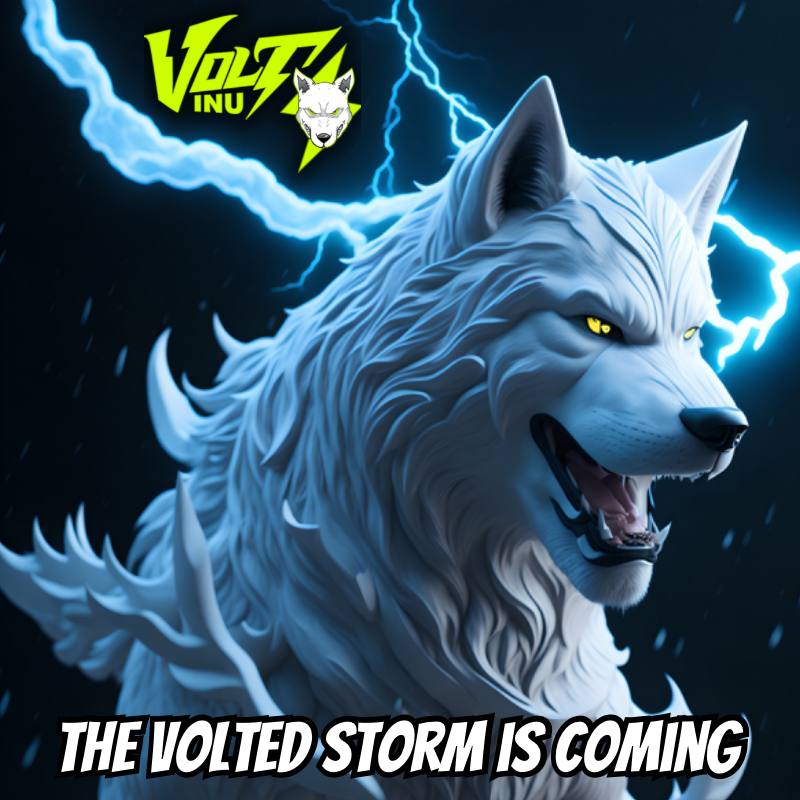 JustJanelle521's tweet image. Facts 💯 ⚡️ ⚡️ ⚡️  Now let&apos;s #VOLT #VOLTIECO #VCSC