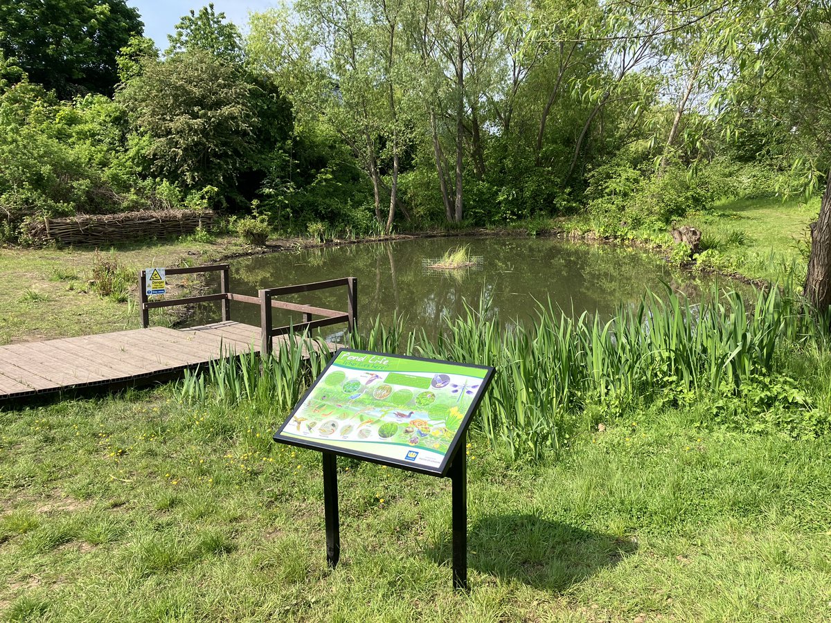 Bell Green pond looking lovely. The new sign is great too. Thanks @MayorofLondon #ReWildLondon