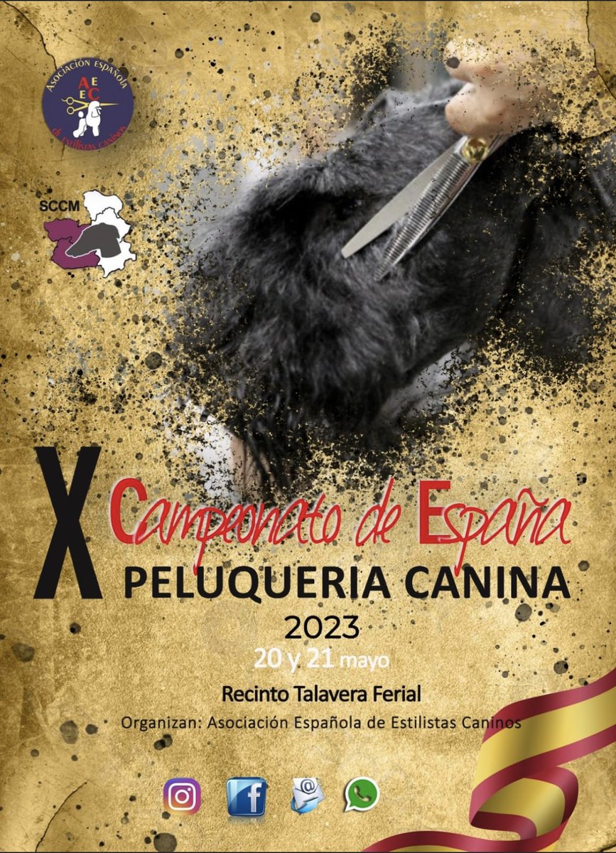 TalaveraFerial's tweet photo. EBORA DOG SHOW, este fin de semana en #TalaveraFerial
👉41º Exposición Nacional Canina
👉X Campeonato de España de #peluqueríacanina
.
📌Domingo 21 de mayo
📌9:00 a 18:00 h.
📌Pabellón 1 - Recinto Talavera Ferial
.
#talaveradelareina #Talavera #expocanina #eboradogshow https://t.co/4S2JiamYJC