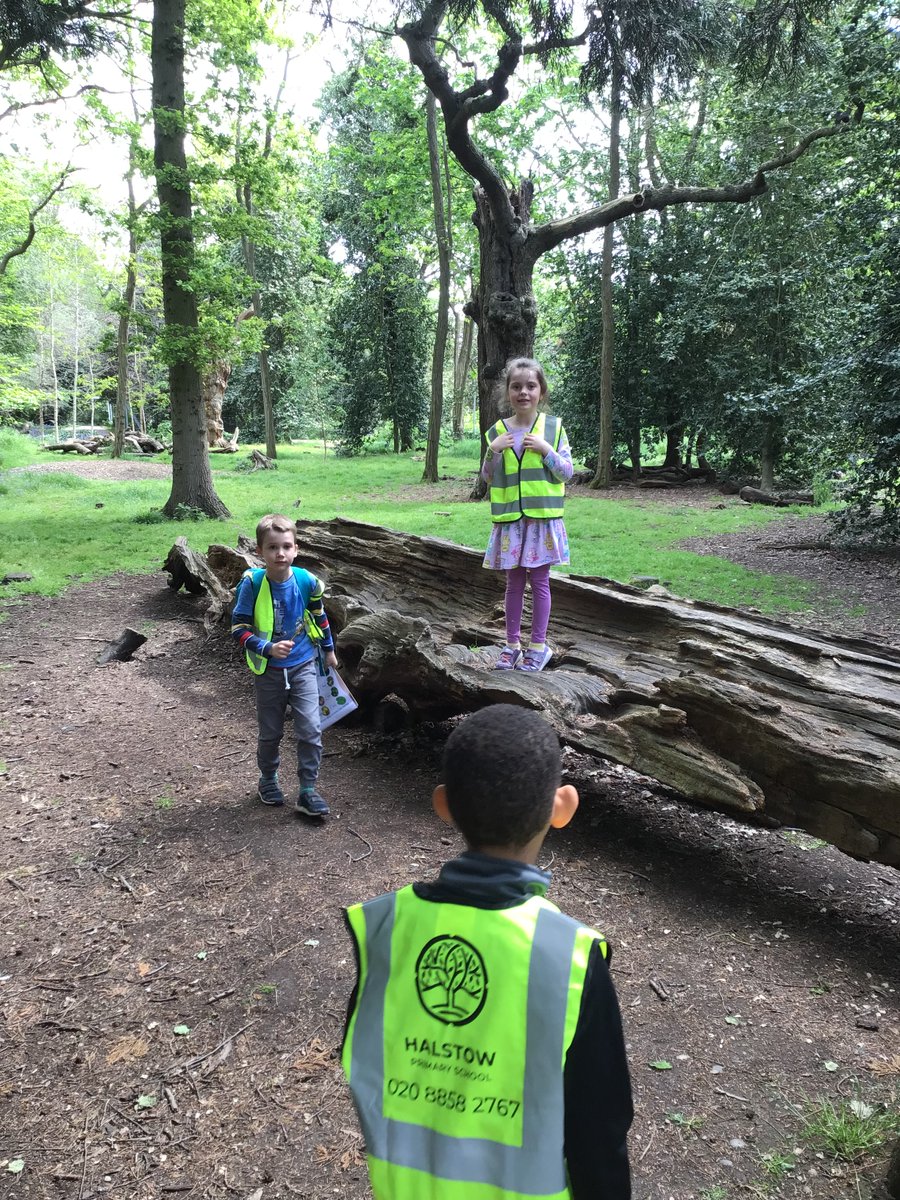 Halstow Primary tweet media