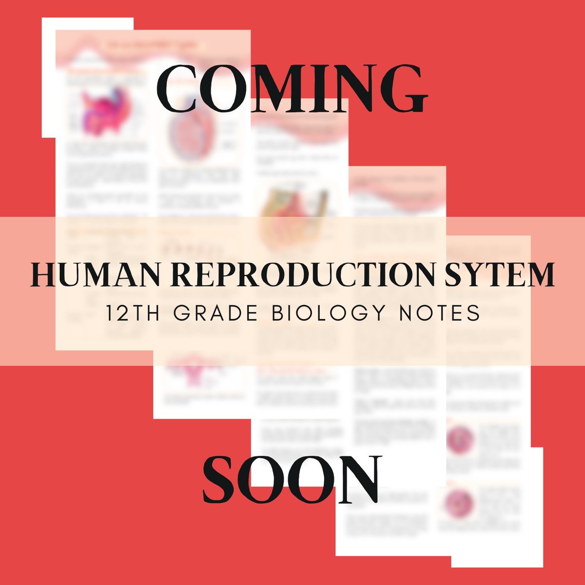 a_nnasu's tweet image. [COMING SOON]

New shop item!!!
12th Grade Biology (Human Reproduction System) Notes

Will be live at ko-fi.com/annasuu on May 20!!

#aesthetic #schoolnotes #notes #kofi #newitem #shop #smallbusinessowner