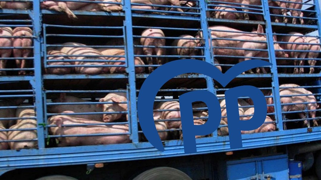 Isaac🌾 tweet media