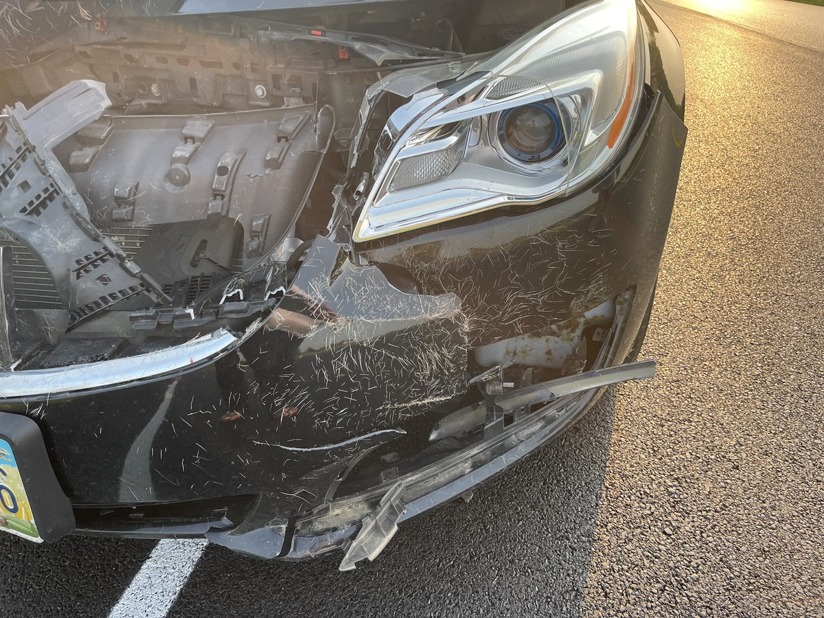lhicks87's tweet photo. 🦌 😭 https://t.co/qcOWSKc2Lv