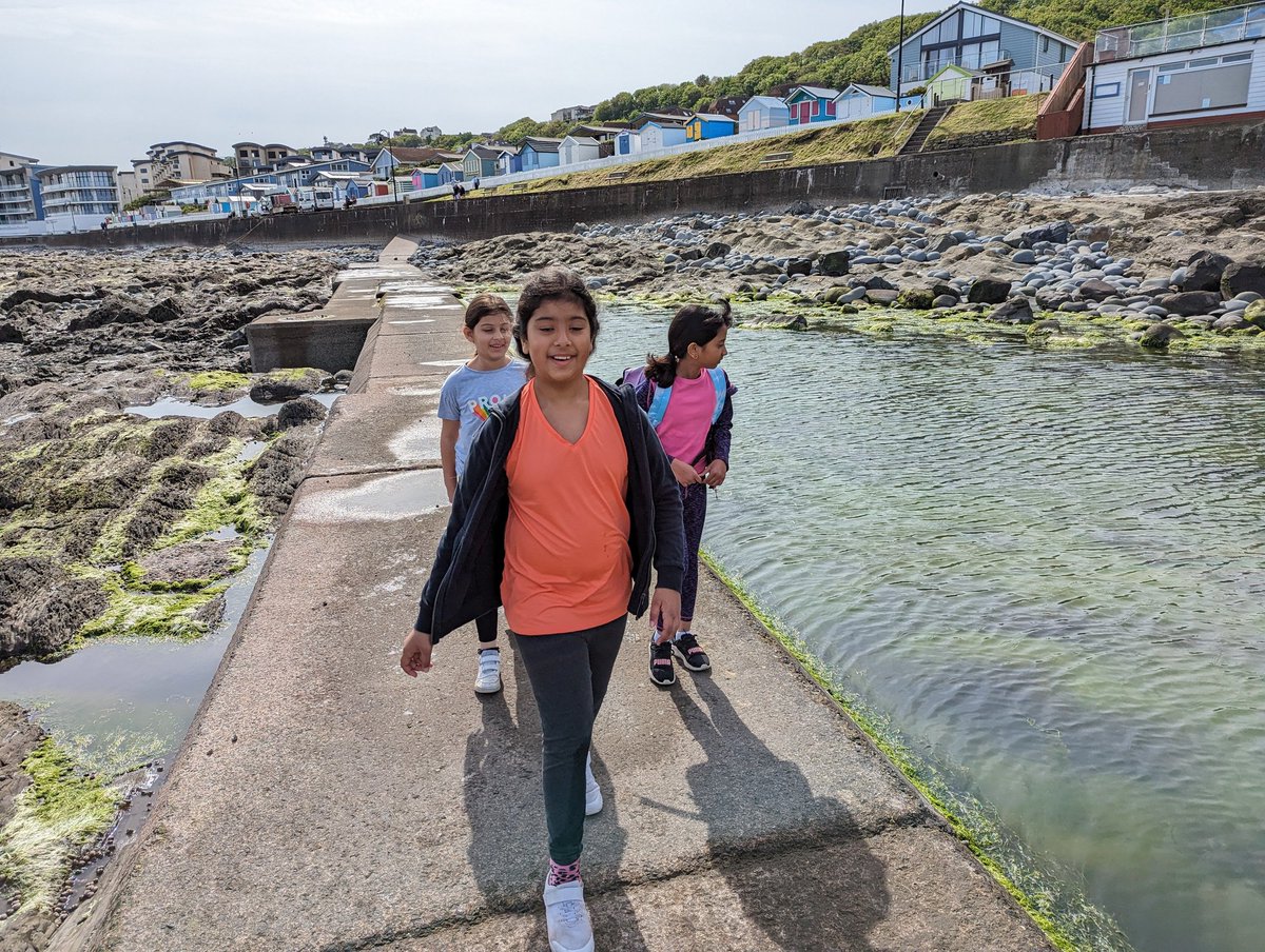 Highfield Year 4 tweet media