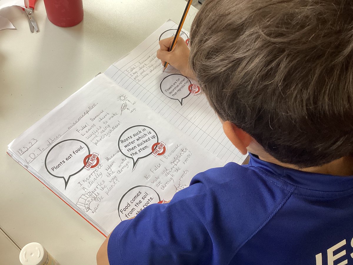 JESS Primary Year 3 (@jessprimaryyr3) on Twitter photo In #JESSPriScience we are addressing misconceptions about out plants topic. What a good way to revise the topic! <a href="/JESSPrimary/">JESS Primary</a> In #JESSPriScience we are addressing misconceptions about out plants topic. What a good way to revise the topic! <a href="/JESSPrimary/">JESS Primary</a>