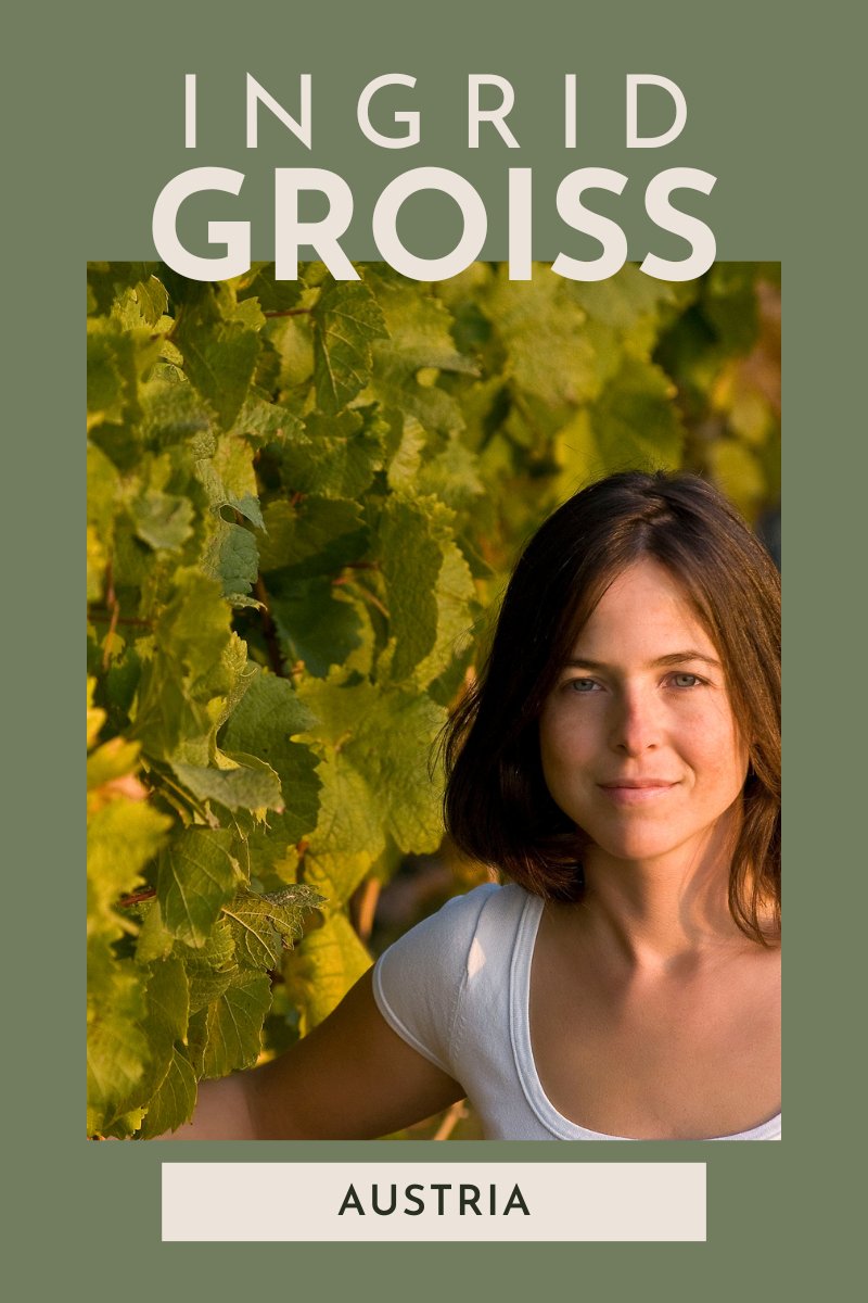 Ingrid Groiss at de Burgh - mailchi.mp/de-burgh/ingri… Gruner Veltliner at its finest, in the hands of Ingrid Groiss. Browse the range of wines from Ingrid here...