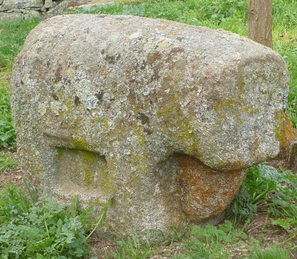 verracos_es's tweet image. Figura zoomorfa 185 Ávila - ift.tt/0Dlx15S #verraco