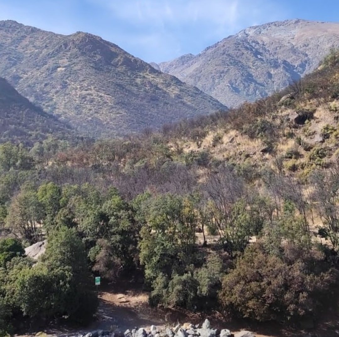Impresionante registro subió #ParqueQuebradaMacul en su cuenta de Instagram 
16/05/2016 vs 16/05/2023
Miren <a href="/Sepulinares/">Alejandro Sepúlveda Jara</a> @ELTIEMPOCHV <a href="/RedMeteoA/">Red MeteoAficionada</a> <a href="/EduardoTVT/">Eduardo Sáez</a> <a href="/michelleadamv/">Michelle Adam V.</a>
(Ahora sí, corregido el orden)