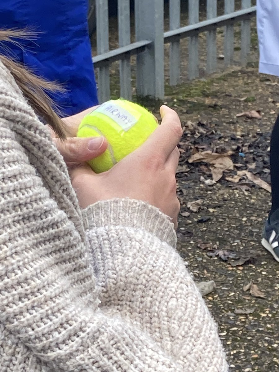 SCAS Education Team tweet media