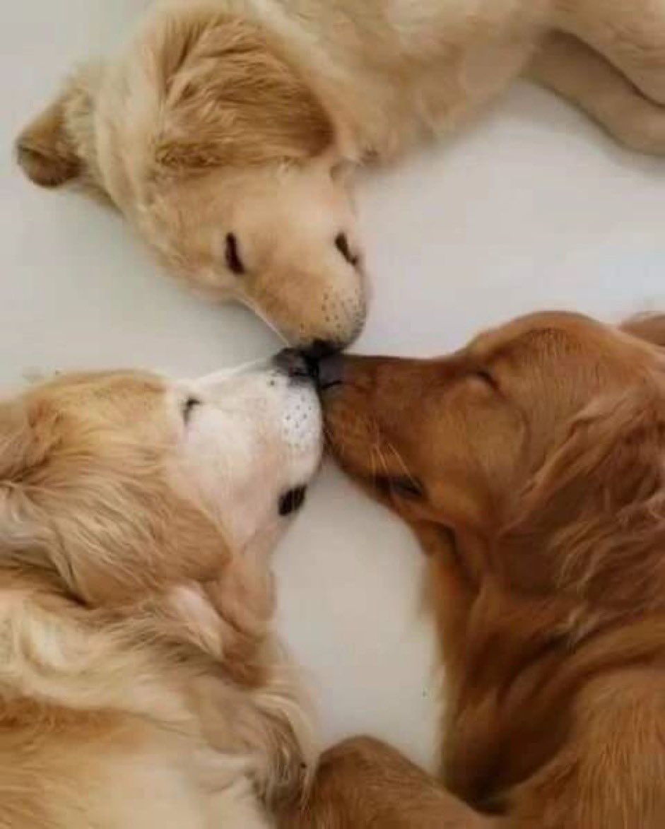 Just wondering.. does this tweet show up in your timeline? Please let me know in the comments or dm.