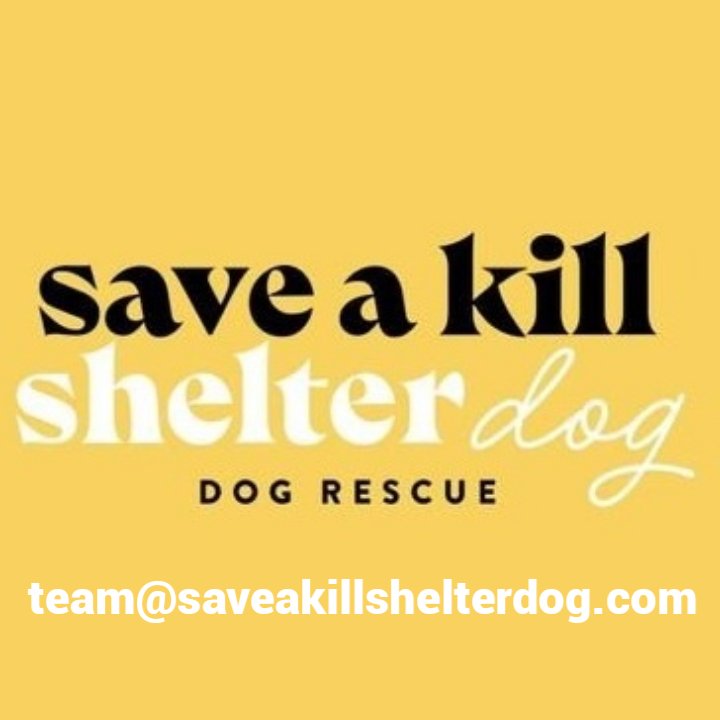 Save a Kill Shelter Dog tweet media