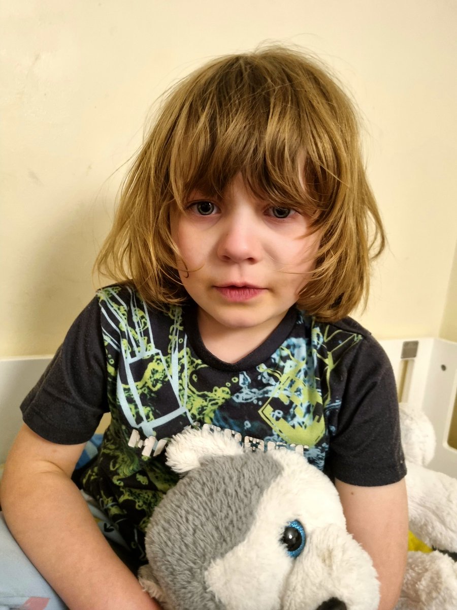 Katie Stone tweet media