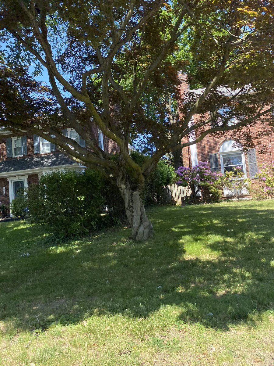 EWNLLC's tweet image. Made it to Montgomery County, Bryn Mawr, PA. Took a good look at some million dollar properties. #pa #datacollector #happythursday 

🐘💫💛: Make the heart, the center of your fulfillment, not other ppl’s opinion(s) of you.