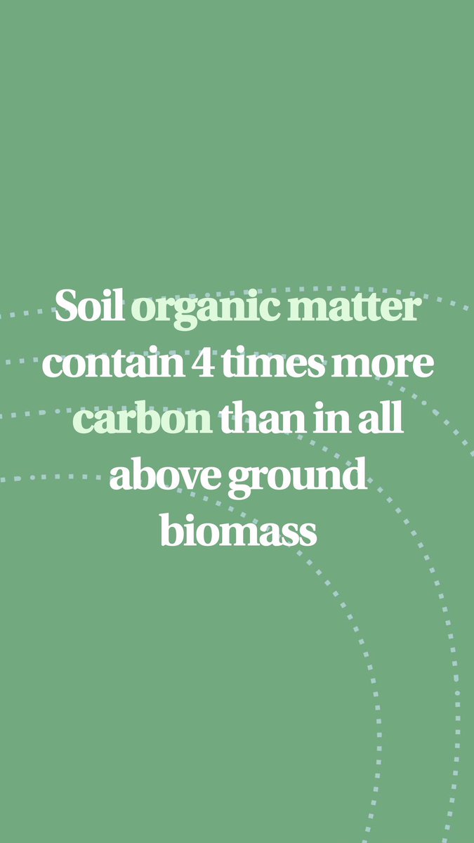 soilcapfarming's tweet photo. 2.500 gigatons of Carbon in our soils https://t.co/rcX8KKtIKc