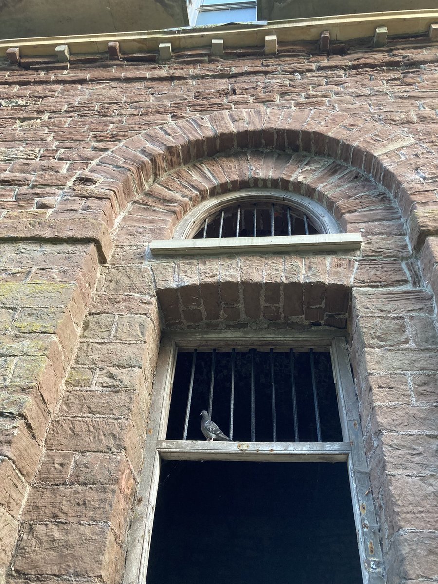 The abandoned Shambles or slaughterhouses in #monmouth, built in the 1830s and Grade II * listed. Dilapidated, fascinating and slightly creepy.