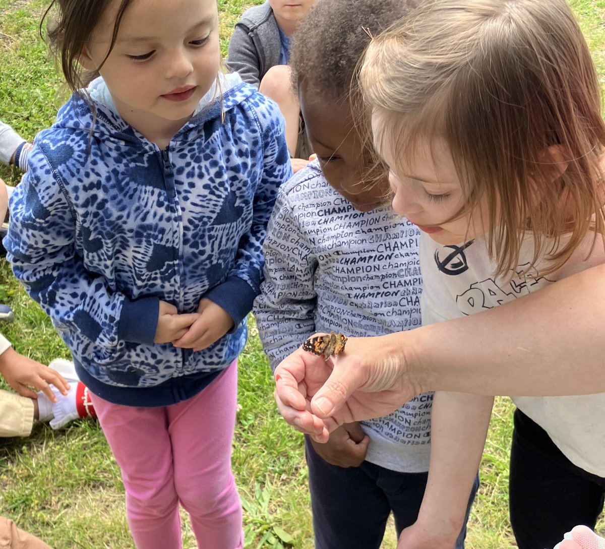 Miss Becky (@ecdc_missbecky) on Twitter photo What an exciting day for our ECDC BUTTERFLIES 🦋 <a href="/FranklinECDC/">FranklinECDC</a> <a href="/FranklinPSNews/">Franklin Public Schools, MA</a> What an exciting day for our ECDC BUTTERFLIES 🦋 <a href="/FranklinECDC/">FranklinECDC</a> <a href="/FranklinPSNews/">Franklin Public Schools, MA</a>