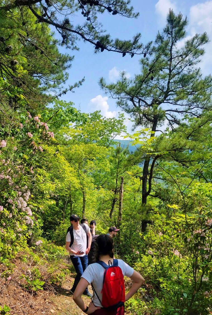 ClaireSkiesWX's tweet image. Mini photo dump from the @Club__AU  meet up. So sad this week is coming to an end but I had so much fun tasting moonshine, hiking, and spending time with my VRChat family of 4+ years ❤️