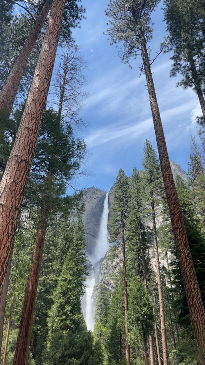ambrxsio_'s tweet photo. Yosemite on my iPhone 🤳 https://t.co/aKZlQF3T8u