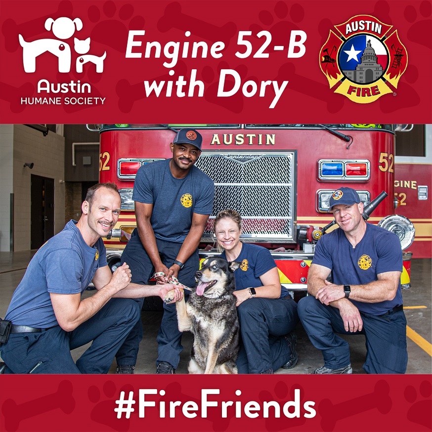 austinfiredept's tweet photo. Our May #FireFriends feature from the @austinhumane is 10-yr-old Shepherd/Siberian Husky, Dory. She loves car rides, walks and charming all, which she did yesterday when she met our B-shift crew from Engine 52 at our newest joint Fire/EMS station! https://t.co/Tgw4EPAUE8
📷© AFD https://t.co/yzXn8CsfEs
