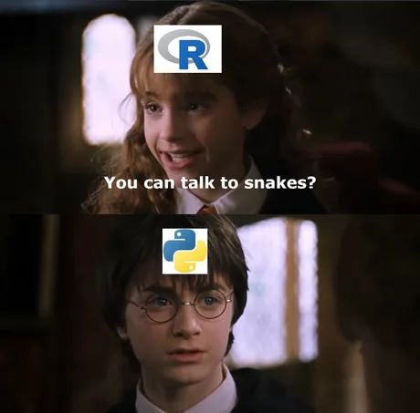 I guess I can speak to snakes too 🐍.