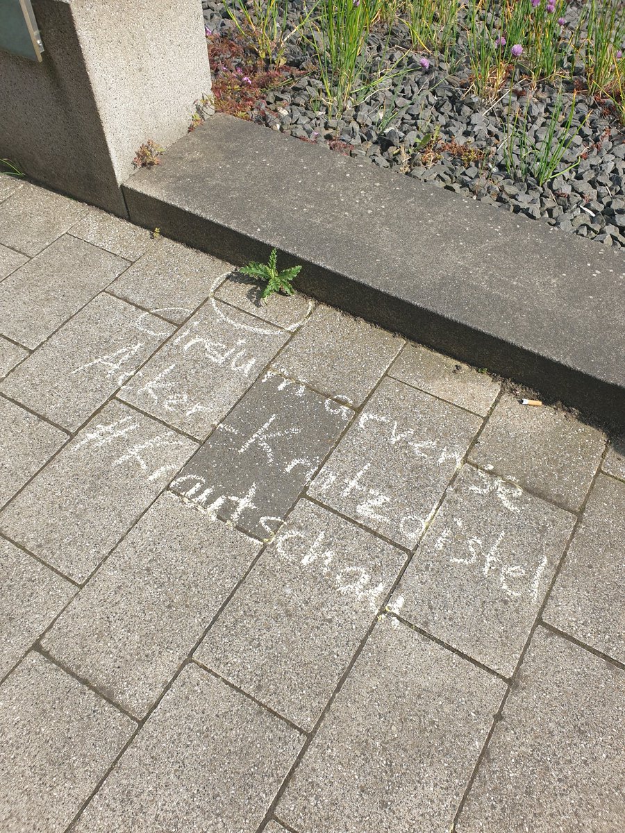Campus Goes Biodiverse - Universität Bremen (@biodivunibremen) on Twitter photo Heute #Krautschau <a href="/UniBremen/">Universität Bremen</a> bei Sonnenschein viele tolle Begegnungen und Gespräche gehabt #Bremen #biodiversity <a href="/JuliaKrohmer/">JuliaKrohmer</a> <a href="/netzwerk__HIB/">Netzwerk Hochschulinitiativen für Biodiversität</a> @BreGoS_ Heute #Krautschau <a href="/UniBremen/">Universität Bremen</a> bei Sonnenschein viele tolle Begegnungen und Gespräche gehabt #Bremen #biodiversity <a href="/JuliaKrohmer/">JuliaKrohmer</a> <a href="/netzwerk__HIB/">Netzwerk Hochschulinitiativen für Biodiversität</a> @BreGoS_