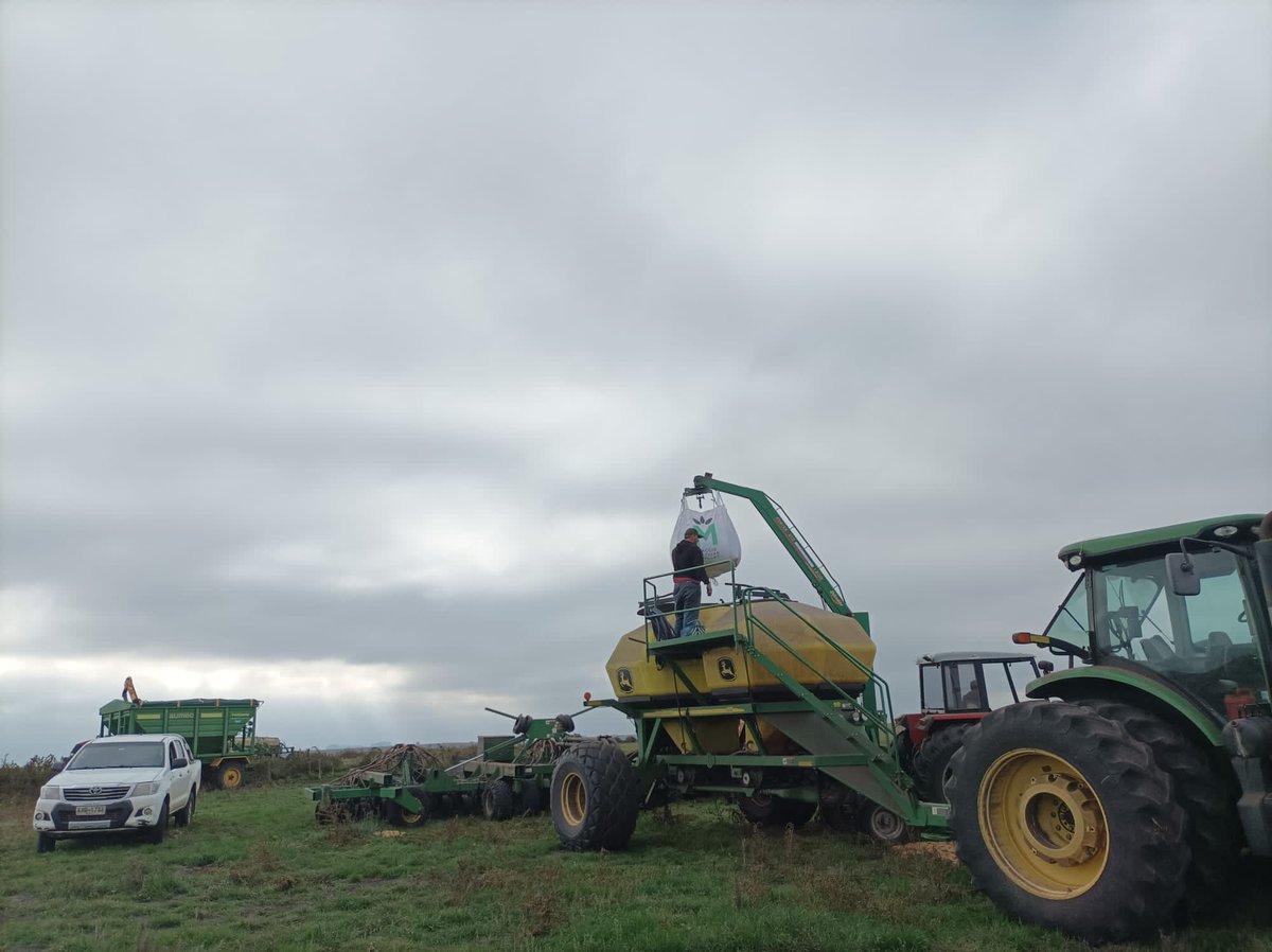 📍El Tala, Soriano
Siembra de trigo SYN 200