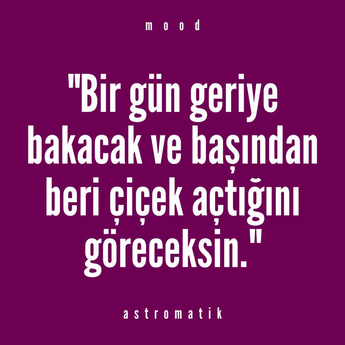 Aygül AYDIN tweet media